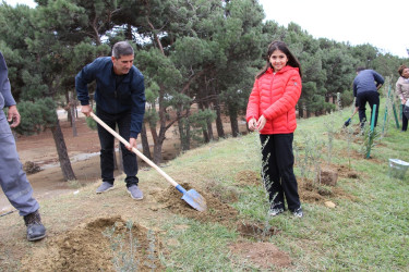 Səbaildə "Yaşıl dünya naminə həmrəylik ili" çərçivəsində növbəti ağacəkmə aksiyası