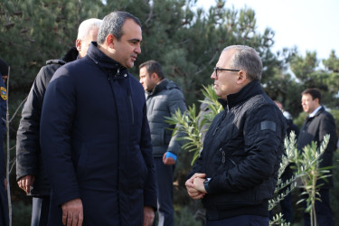 Səbail rayonunda "Konstitusiya və Suverenlik ili" çərçivəsində ağacəkmə aksiyası keçirilib