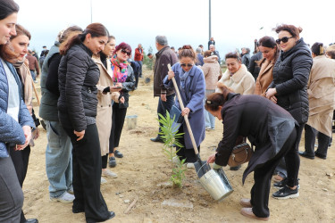 Səbail rayonunda "Yaşıl dünya naminə həmrəylik ili" çərçivəsində növbəti ağacəkmə aksiyası