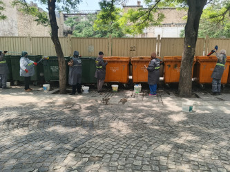 Səbail rayonunda növbəti iməclik keçirilib