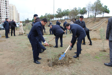 Səbail rayonunda "Yaşıl dünya naminə həmrəylik ili" çərçivəsində növbəti ağacəkmə aksiyası