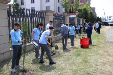 Səbaildə “Şəhərsalma və Memarlıq İli” çərçivəsində “Bir Uşaq bərabərdir Bir Ağac” layihəsi üzrə ağacəkmə aksiyası keçirilmişdir