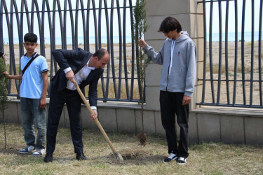 Səbaildə “Şəhərsalma və Memarlıq İli” çərçivəsində “Bir Uşaq bərabərdir Bir Ağac” layihəsi üzrə ağacəkmə aksiyası keçirilmişdir