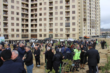 Səbail rayonunda "Yaşıl dünya naminə həmrəylik ili" çərçivəsində növbəti ağacəkmə aksiyası