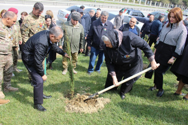 Səbail rayonunda “Heydər Əliyev ili” çərçivəsində ağacəkmə aksiyası keçirilib