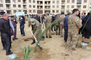 Səbail rayonunda "Yaşıl dünya naminə həmrəylik ili" çərçivəsində növbəti ağacəkmə aksiyası