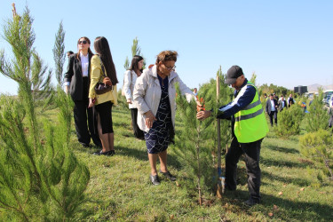 Səbail rayonunda 27 sentyabr - Anım Günü ilə əlaqədar ağacəkmə aksiyası keçirilib