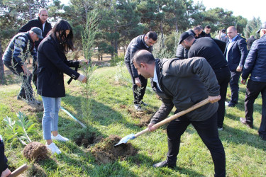 "Yaşıl dünya naminə həmrəylik ili" çərçivəsində Səbaildə növbəti ağacəkmə aksiyası