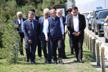 Səbail rayonunda 27 sentyabr - Anım Günü ilə əlaqədar ağacəkmə aksiyası keçirilib