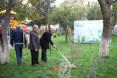 Səbail rayonunda "Yaşıl dünya naminə həmrəylik ili" çərçivəsində ağacəkmə aksiyası keçirilib