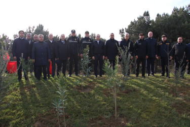 Səbail rayonunda "Konstitusiya və Suverenlik ili" çərçivəsində ağacəkmə aksiyası keçirilib