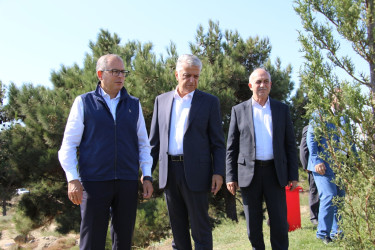 Səbail rayonunda 27 sentyabr - Anım Günü ilə əlaqədar ağacəkmə aksiyası keçirilib