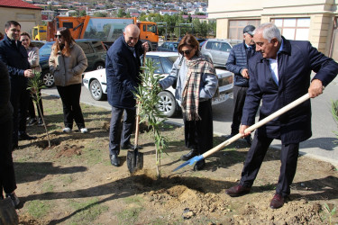 Səbail rayonunda "Yaşıl dünya naminə həmrəylik ili" çərçivəsində ağacəkmə aksiyası davam edir