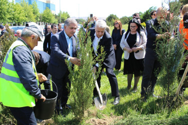 Səbail rayonunda "Konstitusiya və Suverenlik ili" çərçivəsində ağacəkmə aksiyası keçirilib