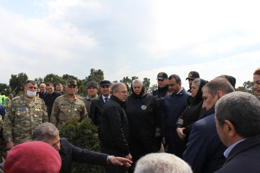 Səbail rayonunda “Heydər Əliyev ili” çərçivəsində ağacəkmə aksiyası keçirilib