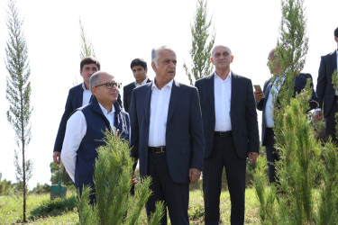 Səbail rayonunda 27 sentyabr - Anım Günü ilə əlaqədar ağacəkmə aksiyası keçirilib
