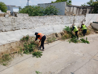 Səbail rayonunda növbəti iməclik keçirilib