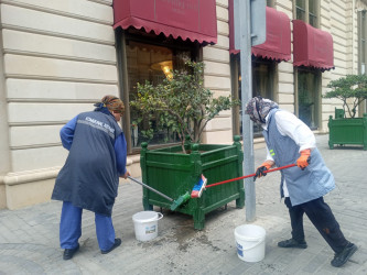 Səbail rayon ərazisində növbəti iməcilik işləri həyata keçirilmişdir