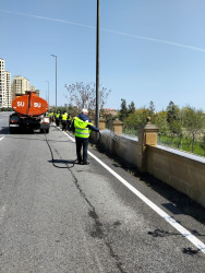 Səbail rayon ərazisində növbəti iməcilik işləri həyata keçirilmişdir