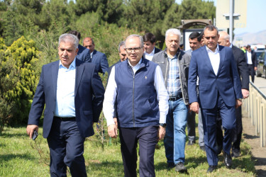 Səbail rayonunda “Şəhərsalma və Memarlıq İli” çərçivəsində ağacəkmə aksiyası keçirilmişdir