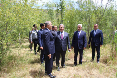 Rayon İcra Hakimiyyətinin başçısı 20-ci sahə yaşayış massivində sakinlərin müraciətlərini dinləmiş və əraziyə baxış keçirmişdir