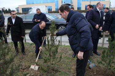 Səbail rayonunda Xocalı soyqırımı qurbanlarının xatirəsinə həsr olunmuş ağacəkmə aksiyası keçirilib