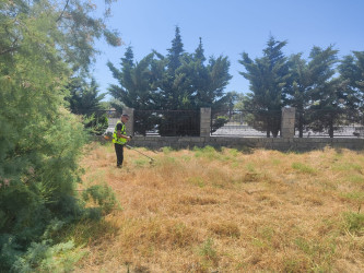 Səbail rayonunda növbəti iməclik keçirilib