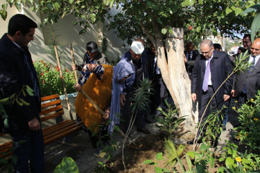 Səbail rayonunda növbəti yaşıl məhəllə sakinlərin istifadəsinə verildi