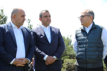 Səbail rayonunda "Konstitusiya və Suverenlik ili" çərçivəsində ağacəkmə aksiyası keçirilib