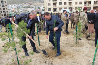 Səbail rayonunda "Yaşıl dünya naminə həmrəylik ili" çərçivəsində növbəti ağacəkmə aksiyası