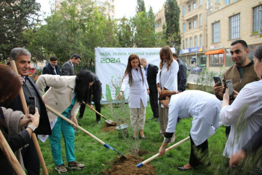 Səbail rayonunda "Yaşıl dünya naminə həmrəylik ili" çərçivəsində ağacəkmə aksiyası keçirilib