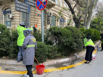 Səbail rayon ərazisində növbəti iməclik işləri həyata keçirilmişdir