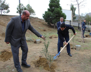 Səbail rayonunda "Yaşıl dünya naminə həmrəylik ili" çərçivəsində növbəti ağacəkmə aksiyası