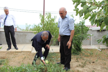 Rayon İcra Hakimiyyətinin başçısı “Rəşadət” ordenli şəhid İlkin Əhədzadənin ailə üzvlərini ziyarət etdi