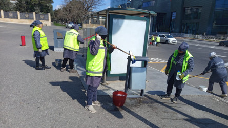 Səbail rayon ərazisində növbəti iməcilik işləri həyata keçirilmişdir