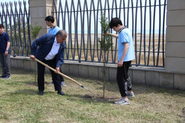 Səbaildə “Şəhərsalma və Memarlıq İli” çərçivəsində “Bir Uşaq bərabərdir Bir Ağac” layihəsi üzrə ağacəkmə aksiyası keçirilmişdir