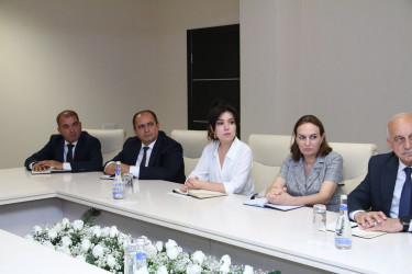 Rayon İcra Hakimiyyəti başçısının sədrliyi ilə müşavirə keçirilmişdir