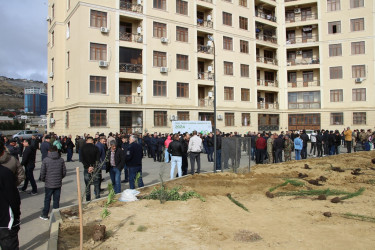 Səbail rayonunda "Yaşıl dünya naminə həmrəylik ili" çərçivəsində növbəti ağacəkmə aksiyası