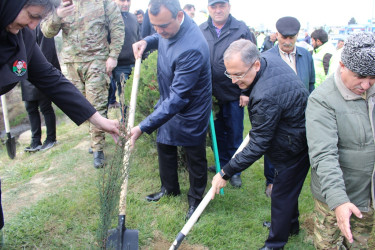 Səbail rayonunda “Heydər Əliyev ili” çərçivəsində ağacəkmə aksiyası keçirilib