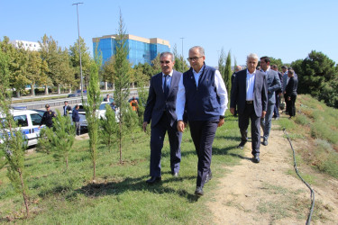 Səbail rayonunda 27 sentyabr - Anım Günü ilə əlaqədar ağacəkmə aksiyası keçirilib