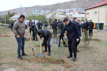 Səbail rayonunda "Yaşıl dünya naminə həmrəylik ili" çərçivəsində növbəti ağacəkmə aksiyası