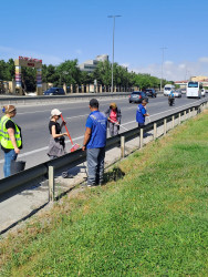 Səbail rayonunda növbəti iməcilik keçirildi