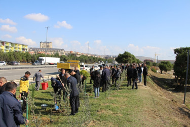 "Yaşıl dünya naminə həmrəylik ili" çərçivəsində Səbaildə növbəti ağacəkmə aksiyası