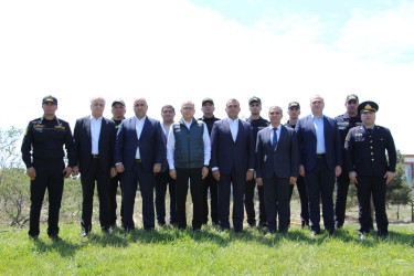 Səbail rayonunda "Konstitusiya və Suverenlik ili" çərçivəsində ağacəkmə aksiyası keçirilib