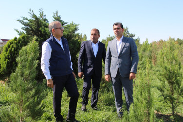Səbail rayonunda 27 sentyabr - Anım Günü ilə əlaqədar ağacəkmə aksiyası keçirilib