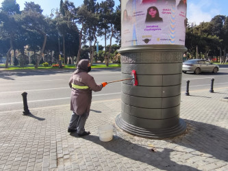 Səbail rayon ərazisində növbəti iməcilik işləri həyata keçirilmişdir