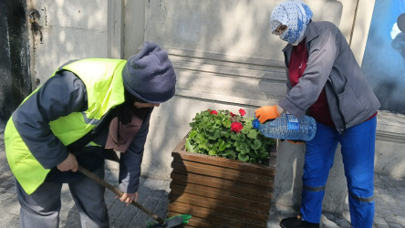 Səbail rayon ərazisində növbəti iməcilik işləri həyata keçirilmişdir