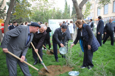 Səbail rayonunda "Yaşıl dünya naminə həmrəylik ili" çərçivəsində ağacəkmə aksiyası keçirilib