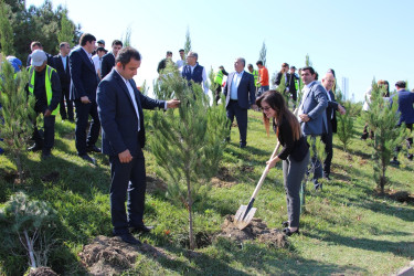 Səbail rayonunda 27 sentyabr - Anım Günü ilə əlaqədar ağacəkmə aksiyası keçirilib