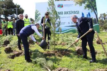 Səbail rayonunda “Şəhərsalma və Memarlıq İli” çərçivəsində ağacəkmə aksiyası keçirilmişdir